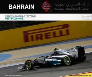 Rompicapo di Nico Rosberg - Mercedes - Gran Premio Bahrain 2014, 2º classificato