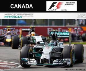 Rompicapo di Nico Rosberg - Mercedes - Gran Premio del Canada 2014, 2º classificato