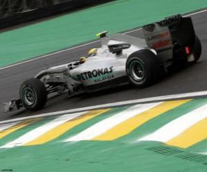 Rompicapo di Nico Rosberg - Mercedes - Interlagos 2010