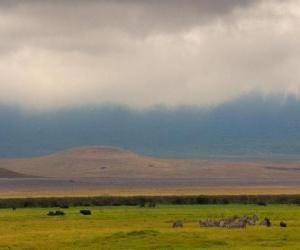 Rompicapo di Norongoro - Tanzania -