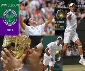 Rompicapo di Novak Djokovic campione di Wimbledon 2011