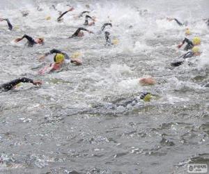 Rompicapo di Nuoto di fondo