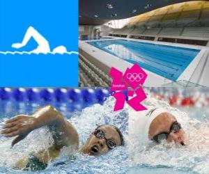 Rompicapo di Nuoto - Londra 2012-