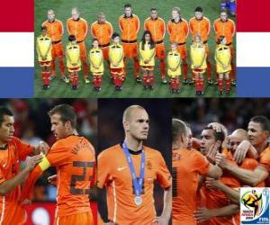 Rompicapo di Olanda, 2 ° posto nel campionato mondiale di calcio 2010 in Sudafrica