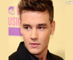 Rompicapo di One Direction, Liam Payne