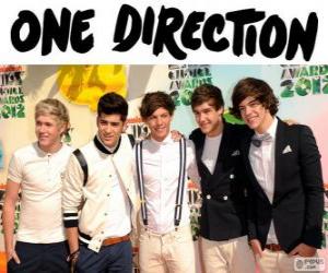 Rompicapo di One Direction è una boy band britanica-irlandesa