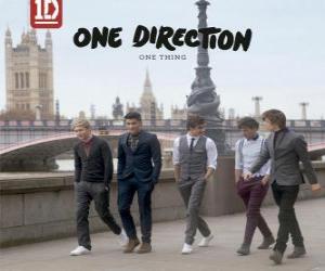 Rompicapo di One Thing, One Direction