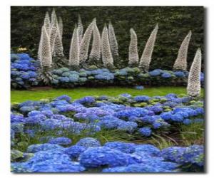 Rompicapo di Ortensie e fiori esotici