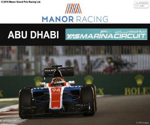 Rompicapo di P. Wehrlein, GP Abu Dhabi 2016