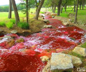 Rompicapo di Paesaggio con un fiume rosso