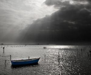 Rompicapo di Paesaggio del Delta dell'Ebro, in Catalogna, Spagna