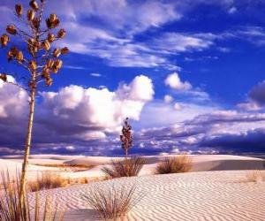 Rompicapo di Paesaggio del deserto