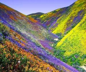 Rompicapo di Paesaggio del primavera