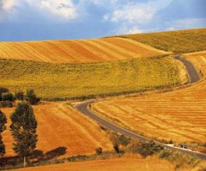 Rompicapo di Paesaggio della campagna in estate