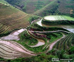 Rompicapo di Paesaggio della Cina rurale