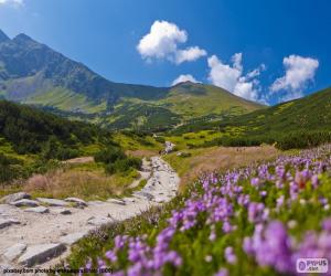 Rompicapo di Paesaggio della montagna