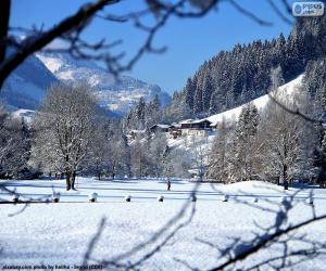 Rompicapo di Paesaggio invernale