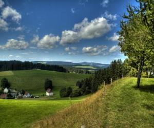 Rompicapo di Paisagem il Foresta Nera