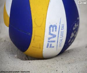 Rompicapo di Pallone volley da spiaggia