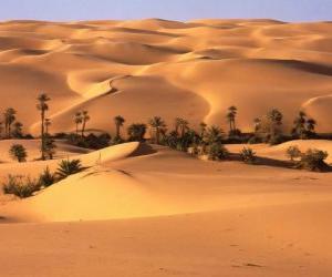 Rompicapo di Palme nelle dune del deserto