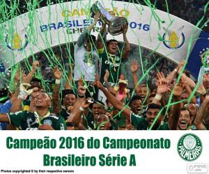 Rompicapo di Palmeiras, campione del Brasile 2016