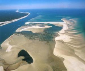 Rompicapo di Parco Nazionale del Banc d'Arguin, situato lungo la costa atlantica. Mauritania.