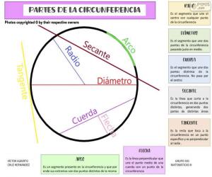 Rompicapo di Parti della circonferenza (spagnolo)