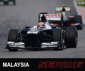 Rompicapo di Pastor Maldonado - Williams - Sepang 2013