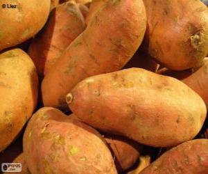 Rompicapo di Patata dolce, conosciuta anche come patata americana o batata