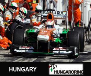 Rompicapo di Paul di Resta - Force India - Hungaroring, 2013