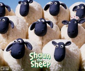 Rompicapo di Pecore del gregge di Shaun