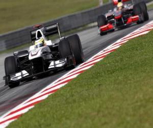 Rompicapo di Pedro de la Rosa - BMW Sauber - Sepang 2010