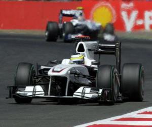 Rompicapo di Pedro de la Rosa - Sauber - Silverstone 2010