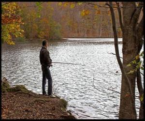 Rompicapo di Pesca - Pescatore di fiume in azione in un paesaggio boscoso