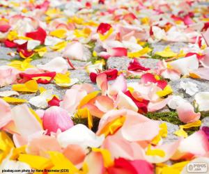 Rompicapo di Petali di rosa, matrimonio