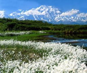 Rompicapo di Pianura con vegetazione econ le montagne verso il basso