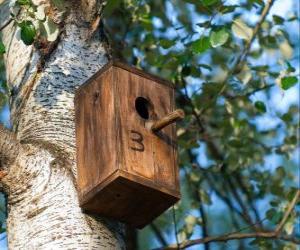 Rompicapo di Piccola casa di legno per gli uccelli in primavera