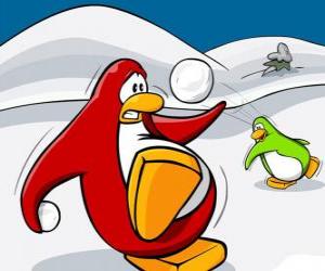 Rompicapo di Pinguini combattendo una guerra di neve nel Club Penguin