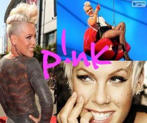 Rompicapo di Pink (Alecia Beth Moore)