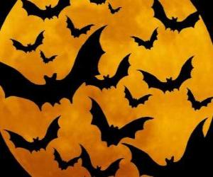 Rompicapo di Pipistrelli per la celebrazione di Halloween