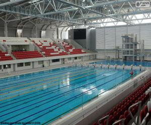 Rompicapo di Piscina olimpionica