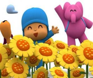 Rompicapo di Pocoyo ei suoi amici in un campo di girasoli