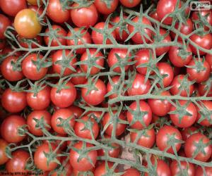 Rompicapo di Pomodoro nel ramo