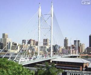 Rompicapo di Ponte Nelson Mandela, Johannesburg, Sudafrica