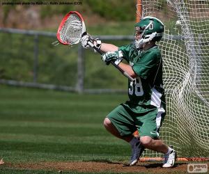 Rompicapo di Portiere di lacrosse