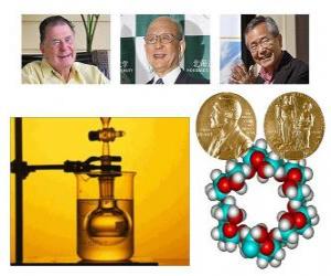 Rompicapo di Premio Nobel per la Chimica 2010 - Richard Heck, Eiichi Negishi e Akira Suzuki -