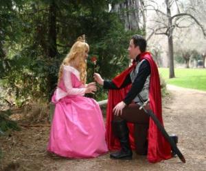 Rompicapo di Principe in ginocchio davanti alla principessa dà una rosa