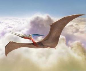Rompicapo di Pterodactyl volando