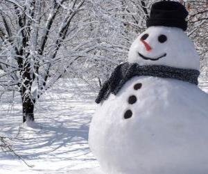 Rompicapo di Pupazzo di neve con cappello e sciarpa