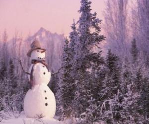 Rompicapo di Pupazzo di neve con una scena di neve